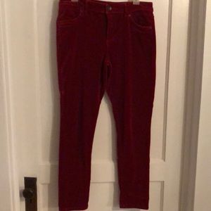 Very Vera Velvet Jeans
